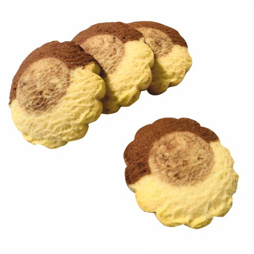 Padovani Stampi S.r.l. | Padovani Stampi S.r.l.