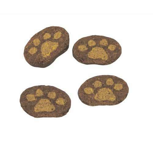 Padovani Stampi S.r.l. | Padovani Stampi S.r.l.