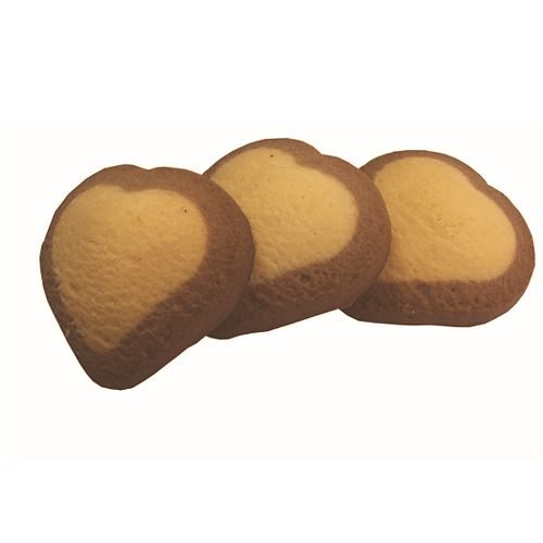 Padovani Stampi S.r.l. | Padovani Stampi S.r.l.