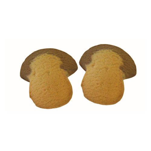 Padovani Stampi S.r.l. | Padovani Stampi S.r.l.